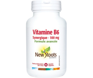 VITAMINE B6 100MG 90CAPS