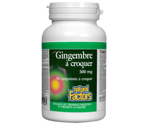 GINGEMBRE 500MG 90 CROQ