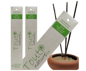 ENCENS TULSI 12 BATONS