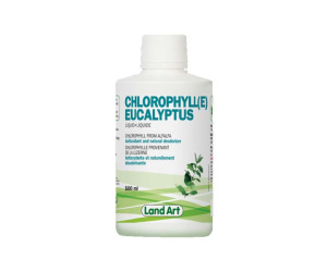 CHLORO/EUCALYPTUS 500ML