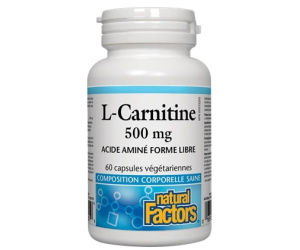 L-CARNITINE 500MG 60C