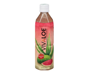 BREUVAGE ALOES MELON EAU 500ML