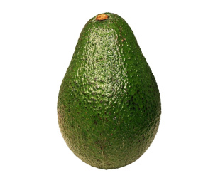 AVOCAT