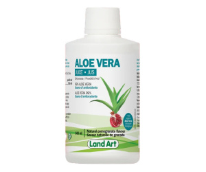 ALOE JUS VERA POM/GRE 500ML