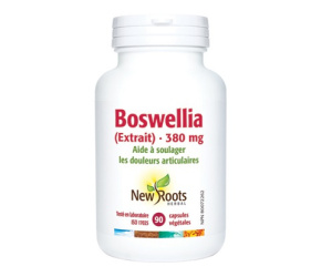 BOSWELLIA (EXTRAIT) 380MG 90CAPS