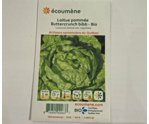 LAITUE POMMEE BUTTERCRUNCH BIO