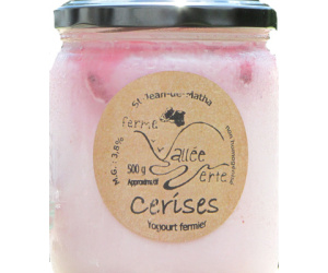 YOGOURT CERISE 500G