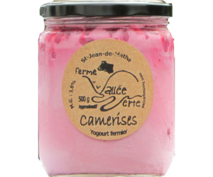 YOGOURT CAMERISE 500G