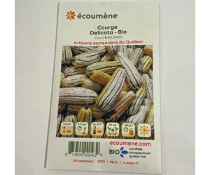 COURGE DELICATA BIO