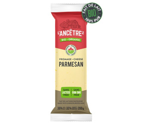 FROMAGE PARMESAN BIO BLOC 200G