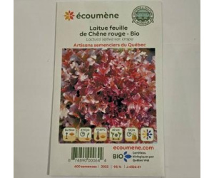 LAITUE FEUILLE CHÊNE ROUGE BIO