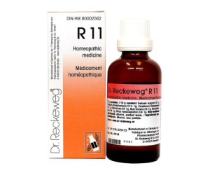 R11 22ML