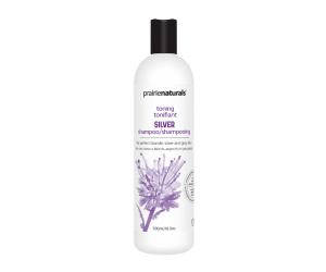 SHAMPOING SILVER 500ML