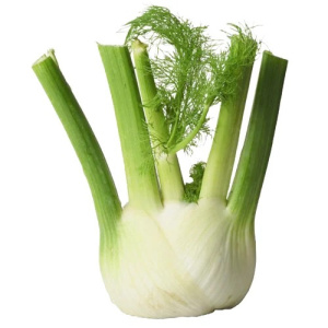FENOUIL