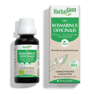 ROSMARINUS OFFICINALIS 30ML
