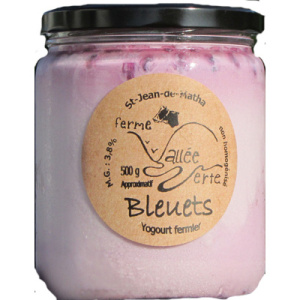 YOGOURT BLEUET 500G