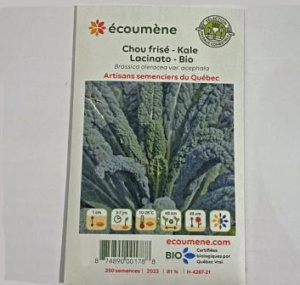CHOU FRISE-KALE LACINATO BIO