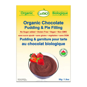 POUDDING CHOCO INST BIO 50G