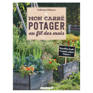 MON CARRE POTAGER AU FIL DES MOIS