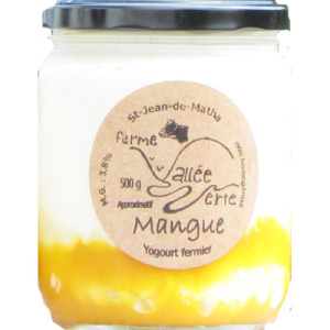 YOGOURT MANGUE 500G