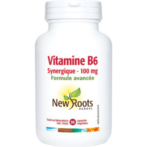 VITAMINE B6 100MG 90CAPS