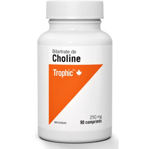 CHOLINE BITARTE 250MG 90COMP